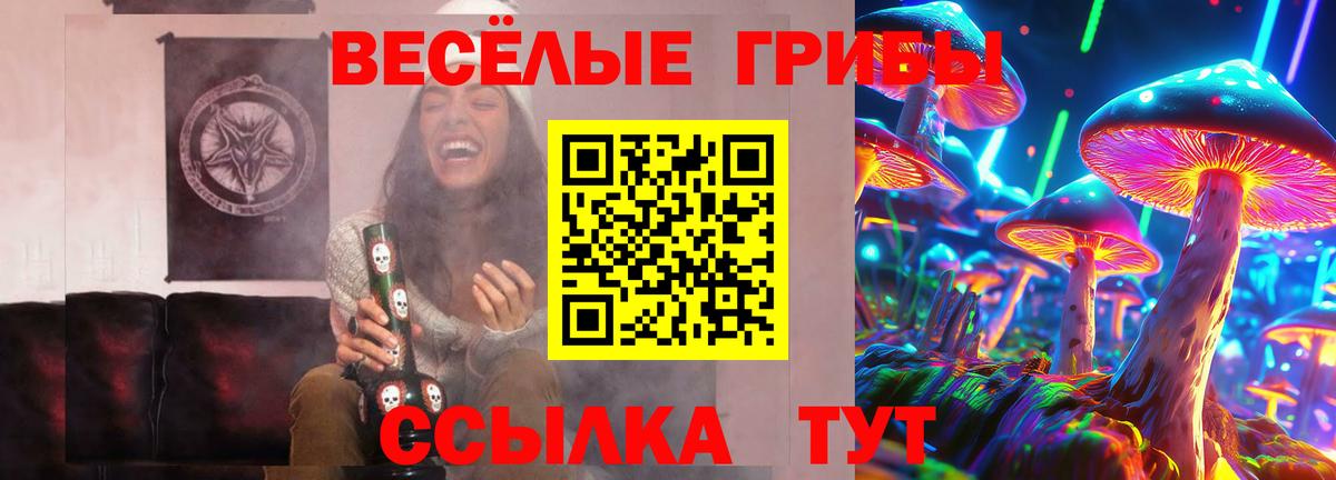 Псилоцибиновые грибы Psilocybine cubensis  Вход с VPN  Знаменск 