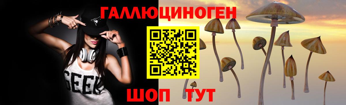 Галлюциногенные грибы MAGIC MUSHROOMS Знаменск